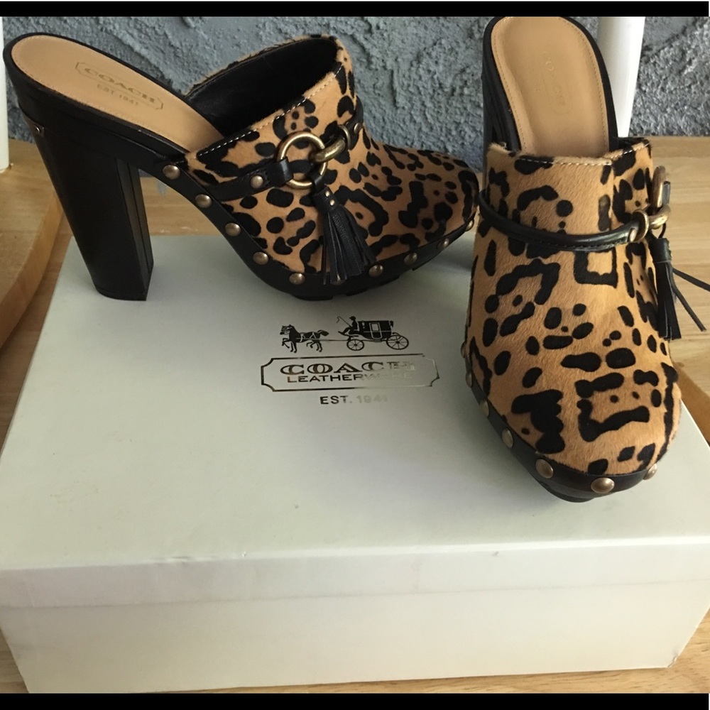 Brand new in box coach cheetah clogs - Picture 1 of 6